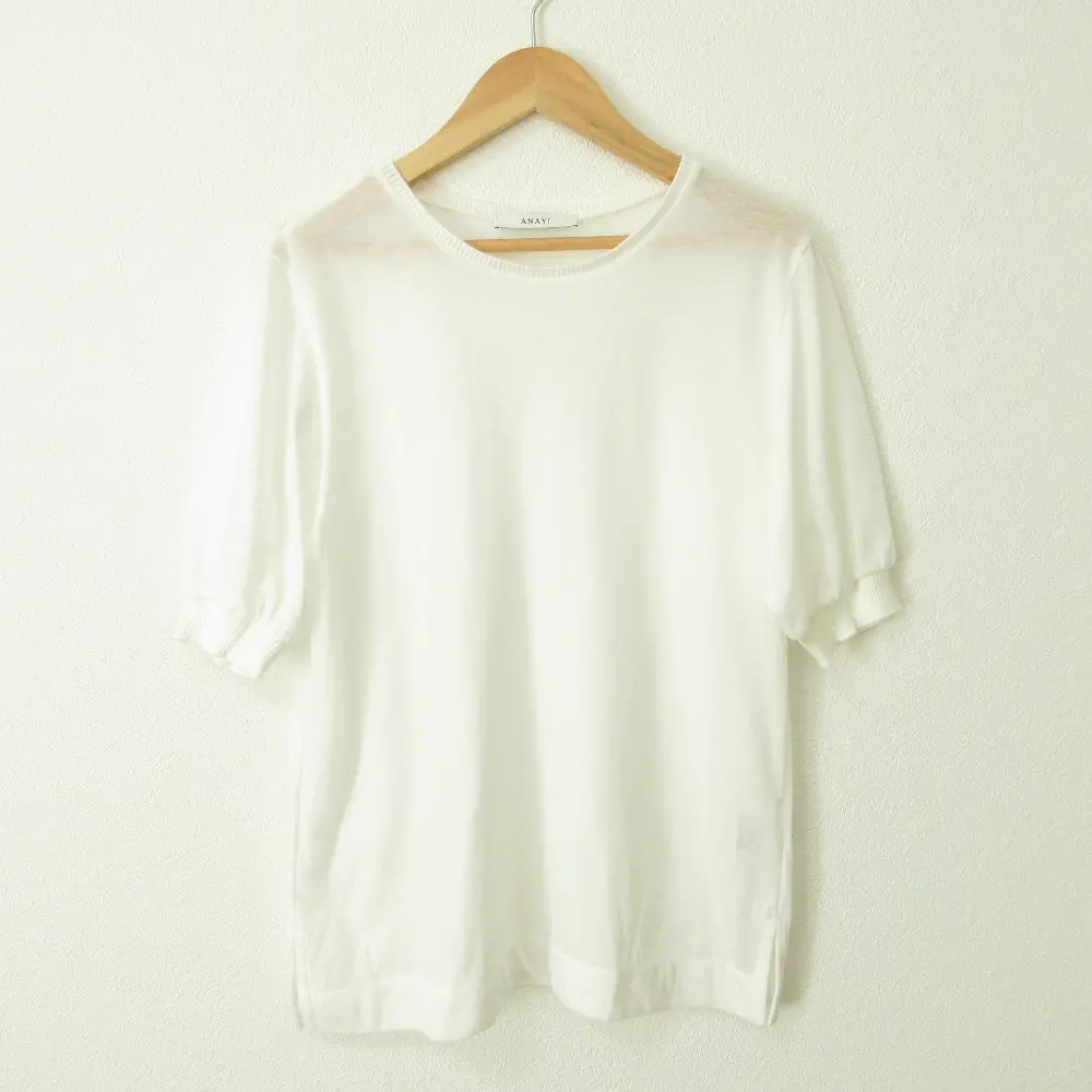 24SS ANAYI アナイ プレーティング天竺 半袖 プルオーバー パフスリーブ シアーカットソー 10242815090 38 ホワイト