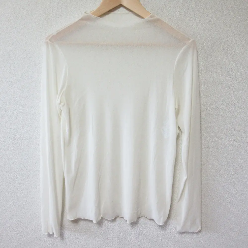 24AW ANAYI アナイ チュールフロッキー プルオーバー 長袖 シアー カットソー 10242815120 38 オフホワイト