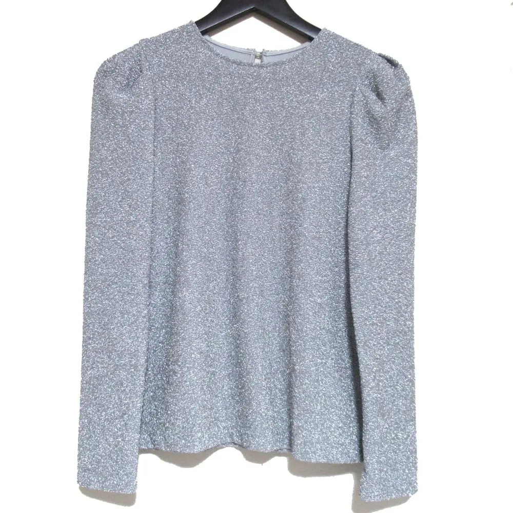 25SS ANAYI アナイ 長袖 シャイニージャージークルー プルオーバー カットソー サイズ38 シルバーカラー
