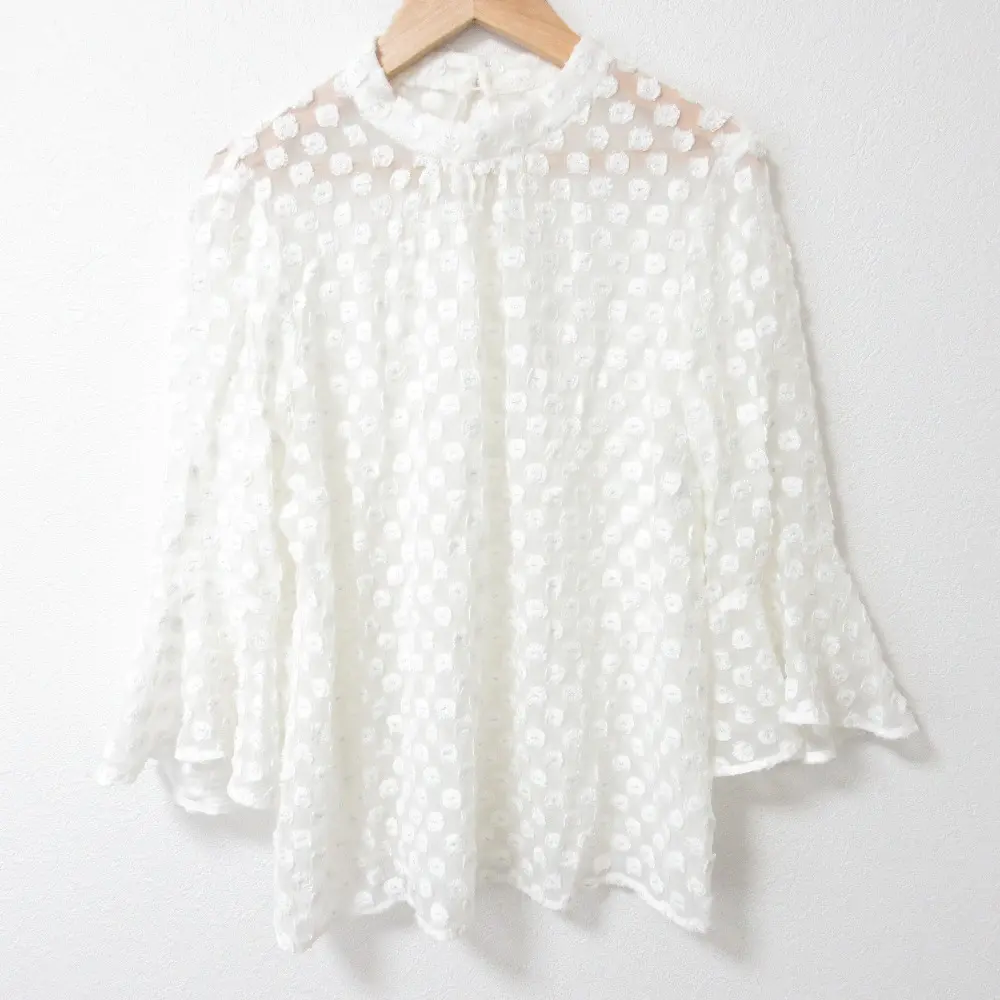 ANAYI アナイ エンブロイダリー シアー ロングスリーブ ブラウス サイズ38 ホワイト