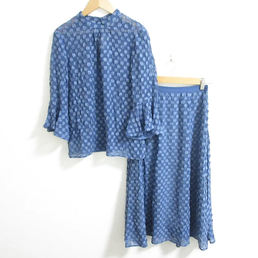 ANAYI アナイ エンブロイダリー シアー ブラウス ロングスカート セットアップ サイズ38 ブルー