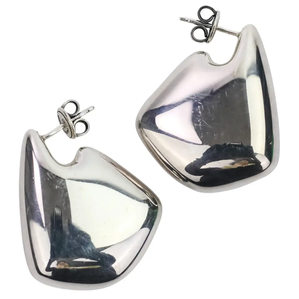 BOTTEGA VENETA ボッテガヴェネタ シルバーフィン ピアス Ag925