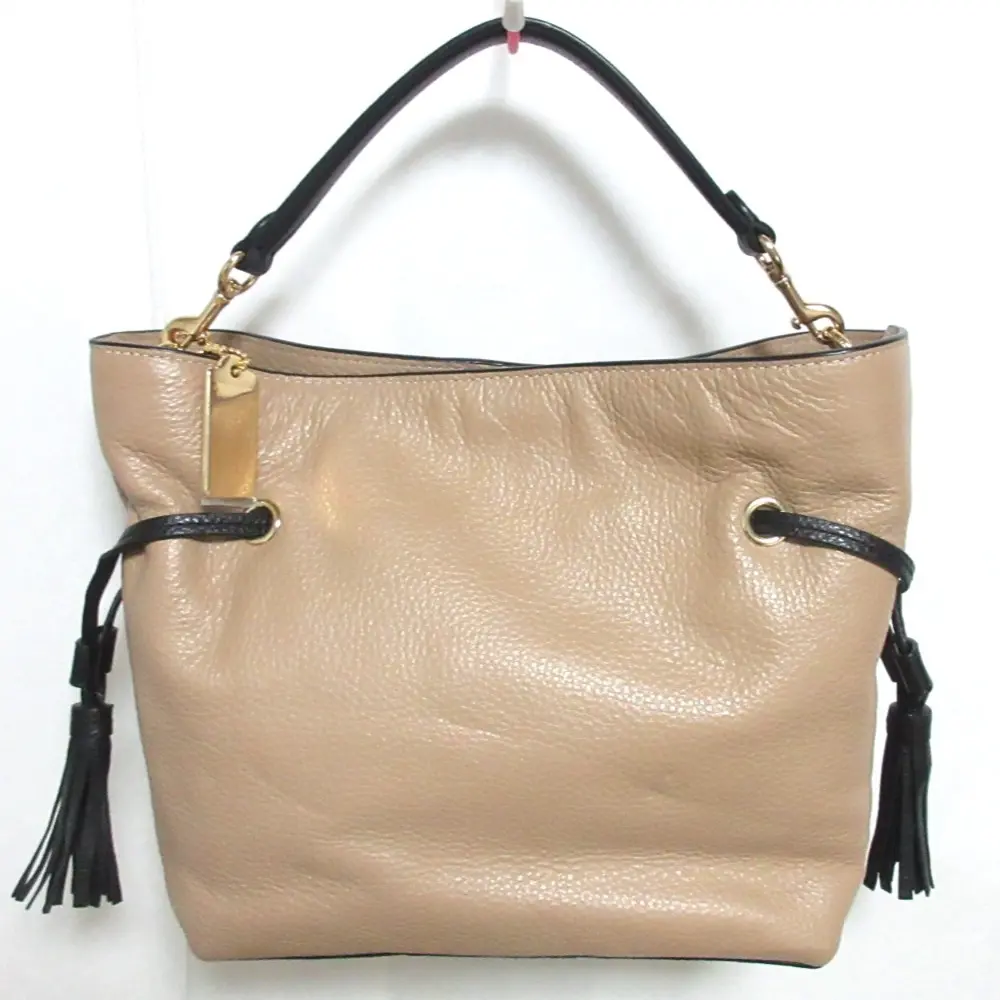 COACH コーチ アンディ レザー 2way ショルダーバッグ ハンドバッグ CA164 ベージュ