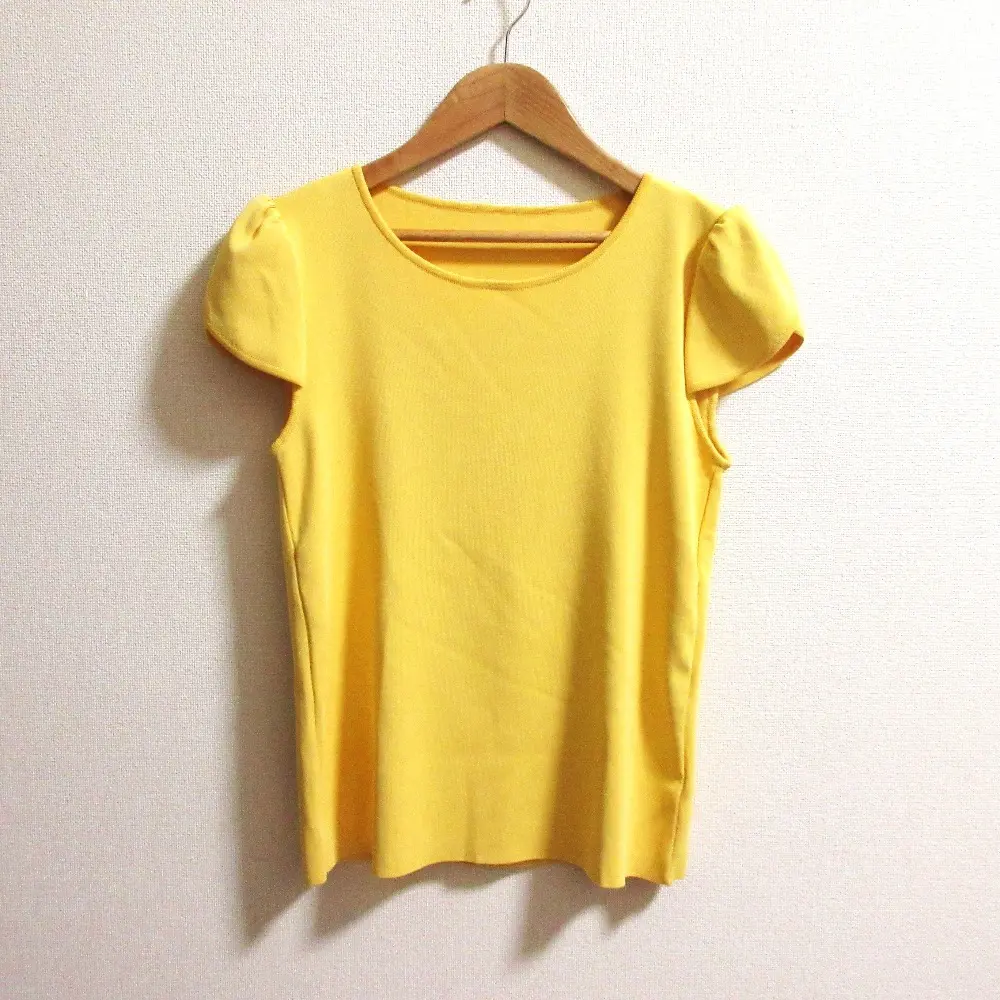 FOXEY フォクシー Tulip Tops ラウンドネック ショートスリーブ ニットカットソー 38005 サイズ40 イエロー