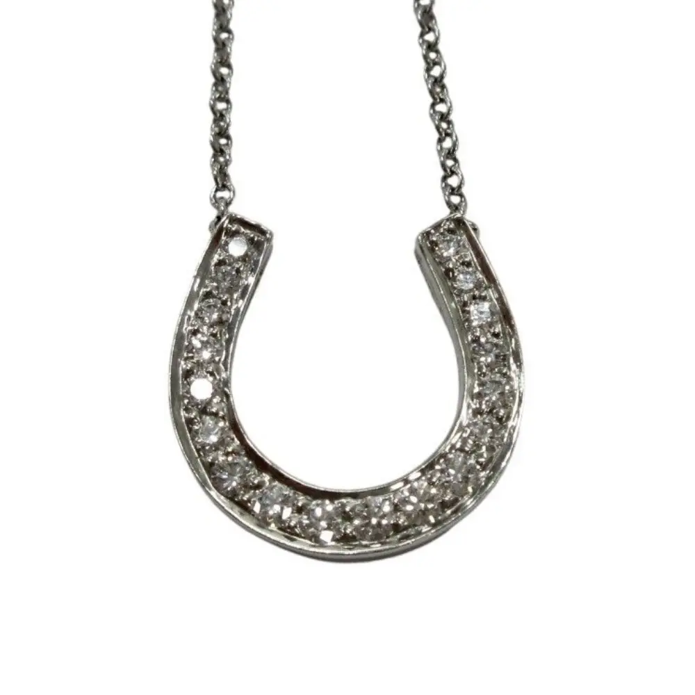 Tiffany&Co. ティファニー PT950 ダイヤモンド ホースシュー ペンダント ネックレス