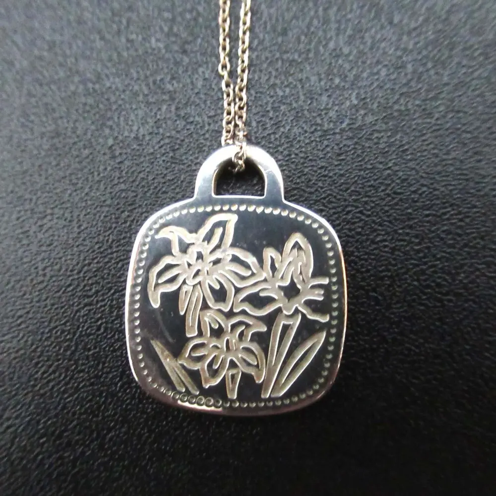 Tiffany&Co ティファニー GO WOMEN 2014 ネックレス ペンダント Ag925 シルバー