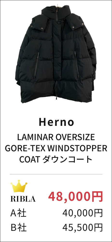LAMINAR OVERSIZE GORE-TEX WINDSTOPPER COAT ダウンコート